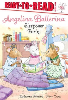 Sleepover Party! by Holabird, Katharine