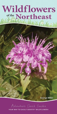 Wildflowers of the Northeast: Your Way to Easily Identify Wildflowers by Miller, George