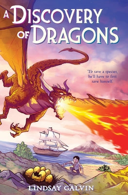 A Discovery of Dragons by Galvin, Lindsay