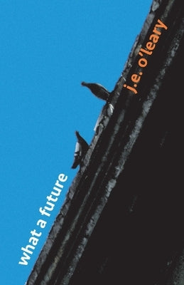 What a Future by O'Leary, J. E.