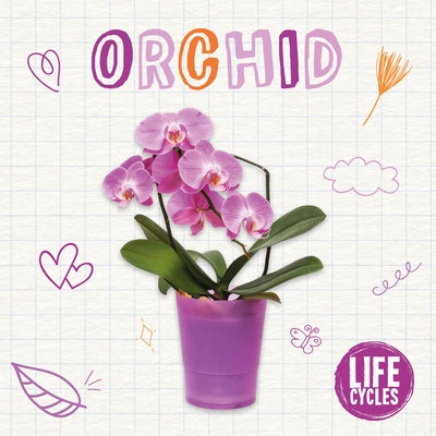 Orchid by McHale, Brenda