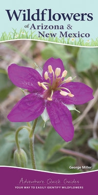 Wildflowers of Arizona & New Mexico: Your Way to Easily Identify Wildflowers by Miller, George