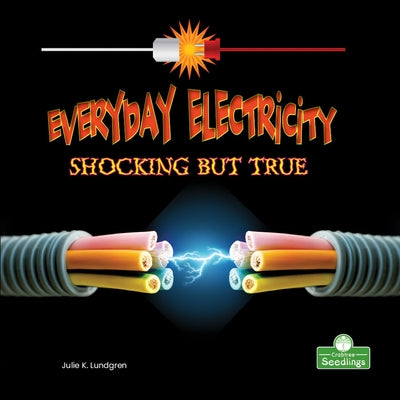 Everyday Electricity, Shocking But True by Lundgren, Julie K.