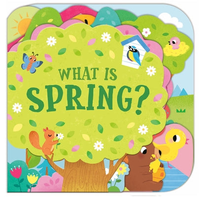 What Is Spring? by Fry, Sonali