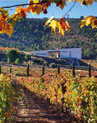 The World Winery Collection: Innovative Design, Sustainability and the Landscape by Molinari, Luca