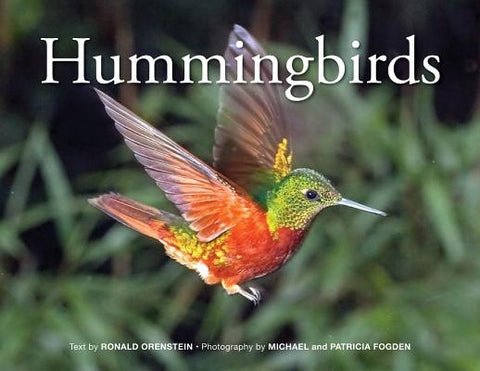Hummingbirds by Orenstein, Ronald