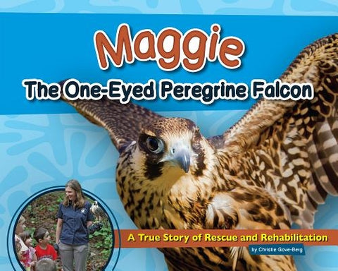 Maggie the One-Eyed Peregrine Falcon: A True Story of Rescue and Rehabilitation by Gove-Berg, Christie