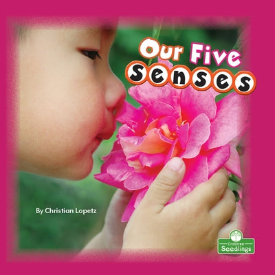 Our Five Senses by Lopetz, Christian