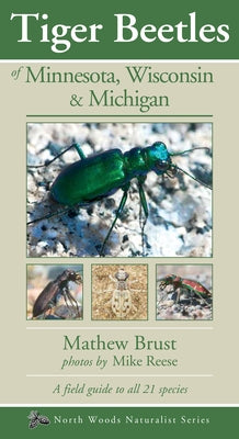Tiger Beetles of Minnesota, Wisconsin & Michigan by Brust, Mathew
