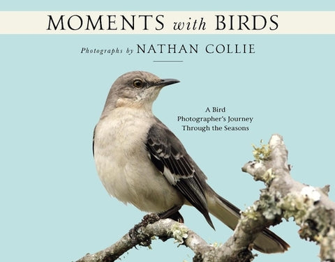 Moments with Birds: A Bird Photographer's Journey Through the Seasons by Collie, Nathan