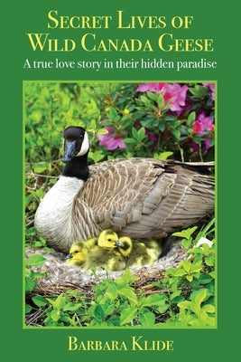 Secret Lives of Wild Canada Geese: A true love story in their hidden paradise by Klide, Barbara