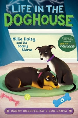 Millie, Daisy, and the Scary Storm by Robertshaw, Danny