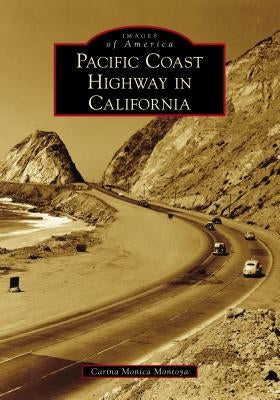 Pacific Coast Highway in California by Montoya, Carina Monica