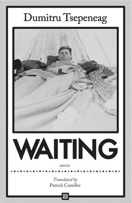 Waiting: Stories: Stories by Tsepeneag, Dumitru