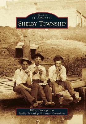 Shelby Township by Davis, Hilary