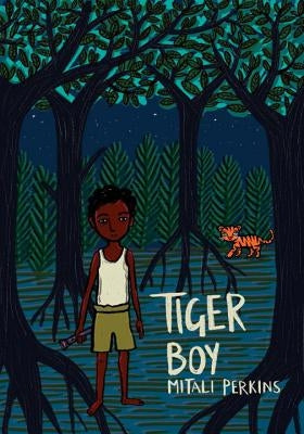 Tiger Boy by Perkins, Mitali