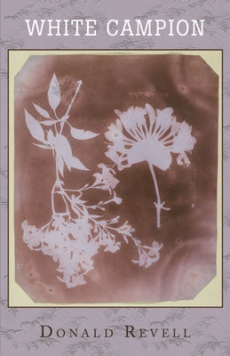 White Campion by Revell, Donald