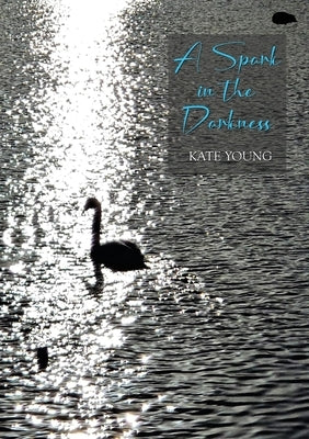 A Spark in the Darkness by Young, Kate