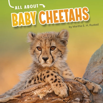 All about Baby Cheetahs by Rustad, Martha E. H.