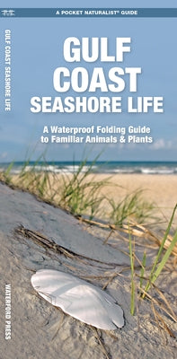 Gulf Coast Seashore Life: A Waterproof Folding Guide to Familiar Animals & Plants by Waterford Press