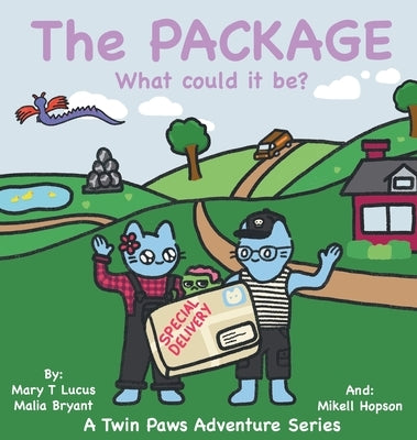 The Package: What could it be? by Lucus, Mary T.