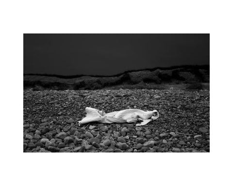 The Curious Moaning of Kenfig Burrows by Rickett, Sophy