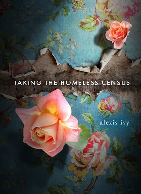 Taking the Homeless Census by Ivy, Alexis