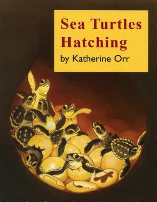 Sea Turtles Hatching by Orr, Katherine