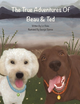 The True Adventures of Beau and Ted by Blake, Liz