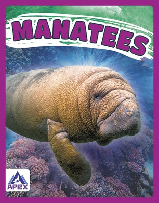 Manatees by Chanez, Katie