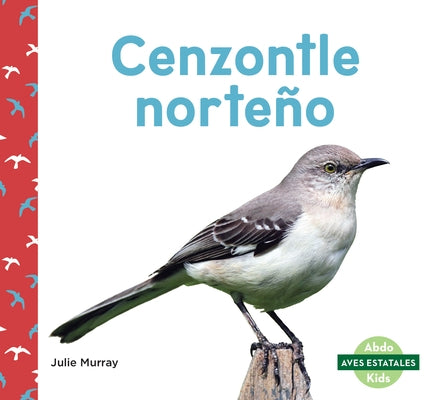 Cenzontle Norteño (Northern Mockingbirds) by Murray, Julie