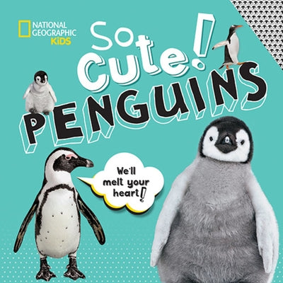 So Cute: Penguins by Boyer, Crispin