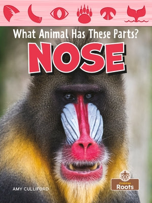 Nose by Culliford, Amy