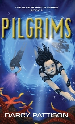 Pilgrims by Pattison, Darcy