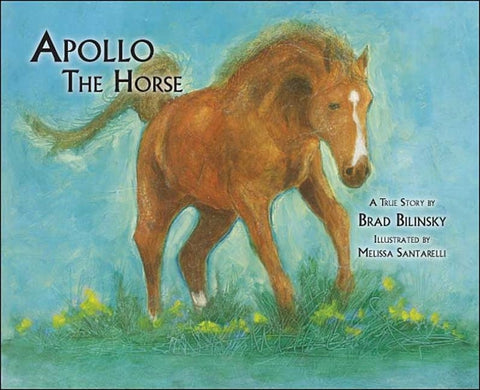 Apollo the Horse by Bilinsky, Brad