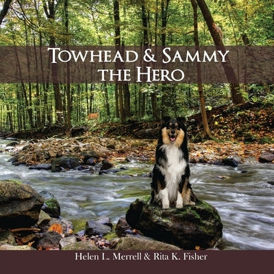Towhead and Sammy The Hero by Merrell, Helen L.