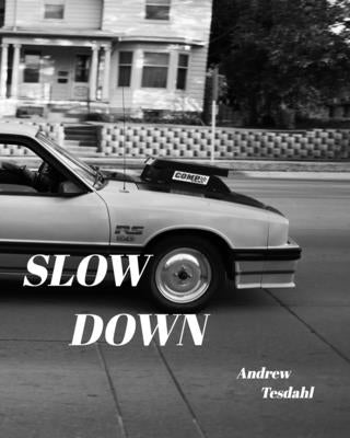 Slow Down by Tesdahl, Andrew