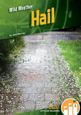 Hail by Murray, Julie