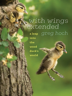 With Wings Extended: A Leap Into the Wood Duck's World by Hoch, Greg