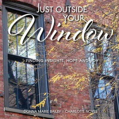 Just Outside Your Window: Finding Insights, Hope and Joy by Bailey, Donna Marie