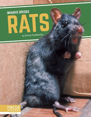 Rats by Huddleston, Emma