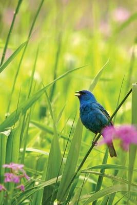 Indigo Bunting Blank Journal by Press, Nodin