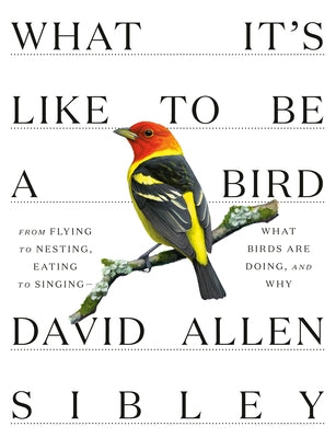 What It's Like to Be a Bird: From Flying to Nesting, Eating to Singing--What Birds Are Doing, and Why by Sibley, David Allen