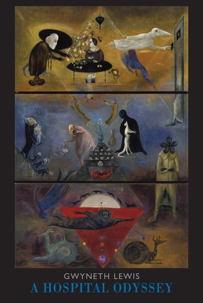 A Hospital Odyssey by Lewis, Gwyneth