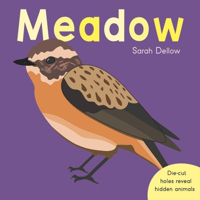 Now You See It! Meadow by Dellow, Sarah