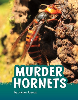 Murder Hornets by Jaycox, Jaclyn
