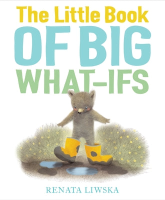 The Little Book of Big What-Ifs by Liwska, Renata