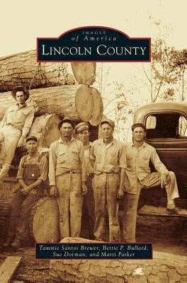 Lincoln County by Brewer, Tammie Santos