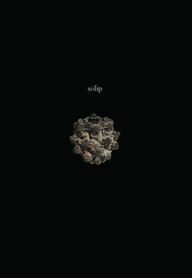 Solip by Baumann, Ken