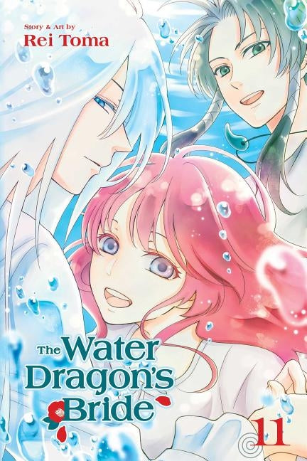 The Water Dragon's Bride, Vol. 11, Volume 11 by Toma, Rei